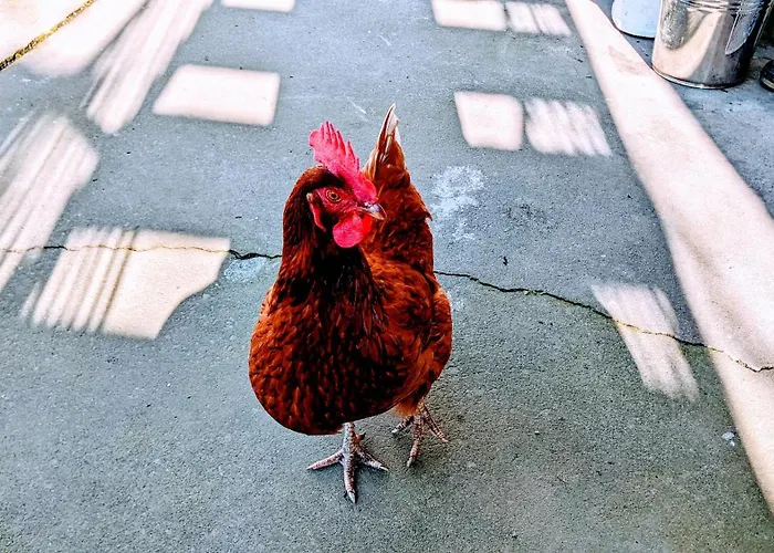 Around The World Backpackers Hostel